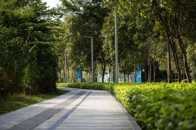 A tree-lined walking path at Pantai Sentral Park, beside the Bukit Kerinchi forest