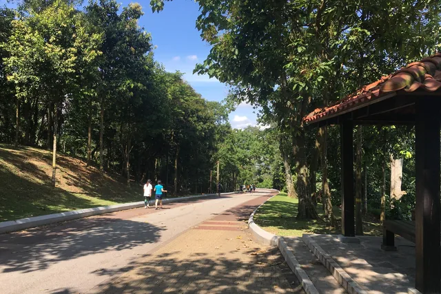 A tree-lined path in Bukit Kiara Park