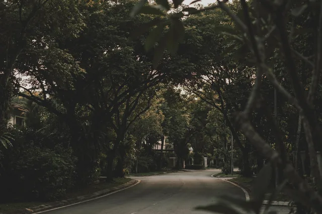 A tree-lined residential street in Taman Desa