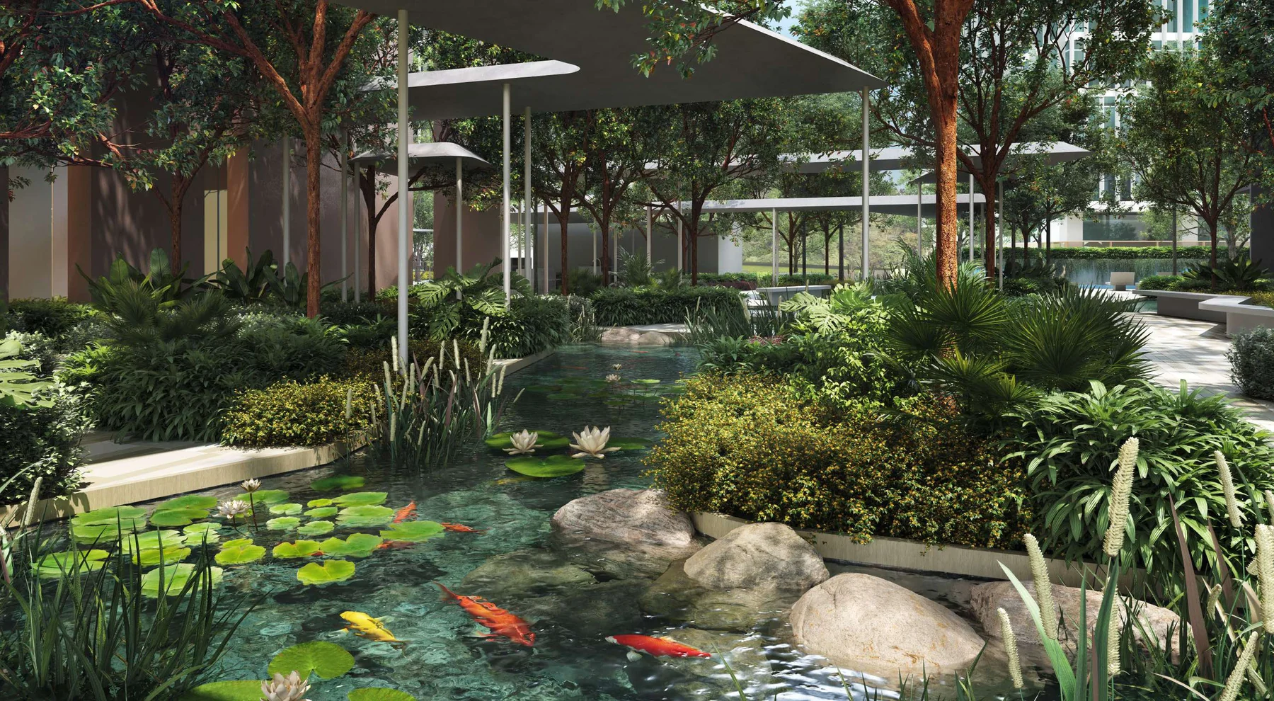 The water garden with koi and lily pads at Enlace Suites II